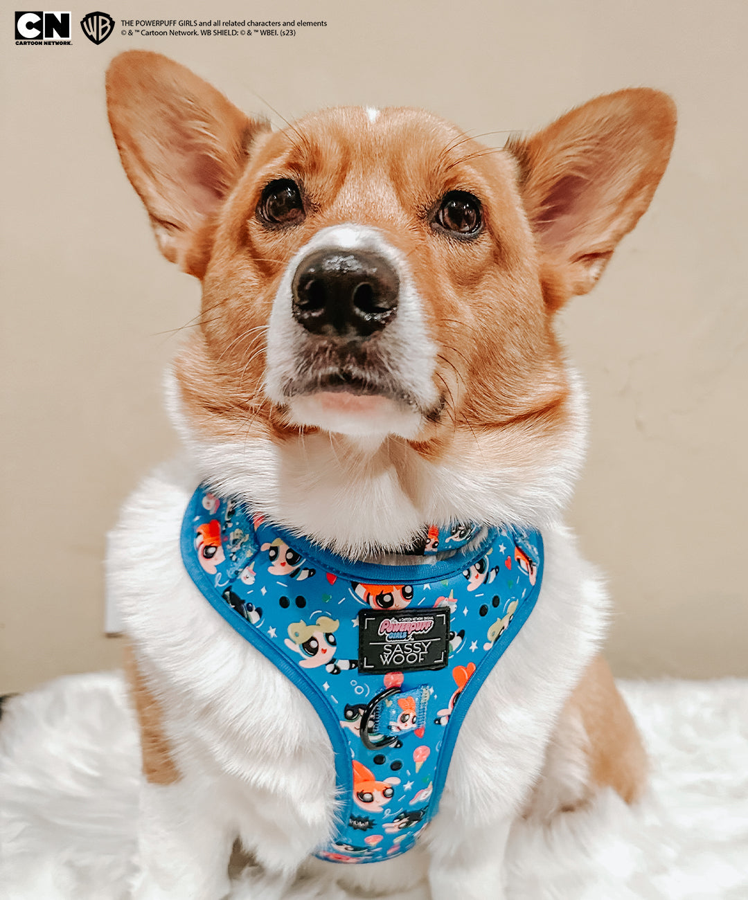 Dog Adjustable Harness - The Powerpuff Girls™ (Blue)
