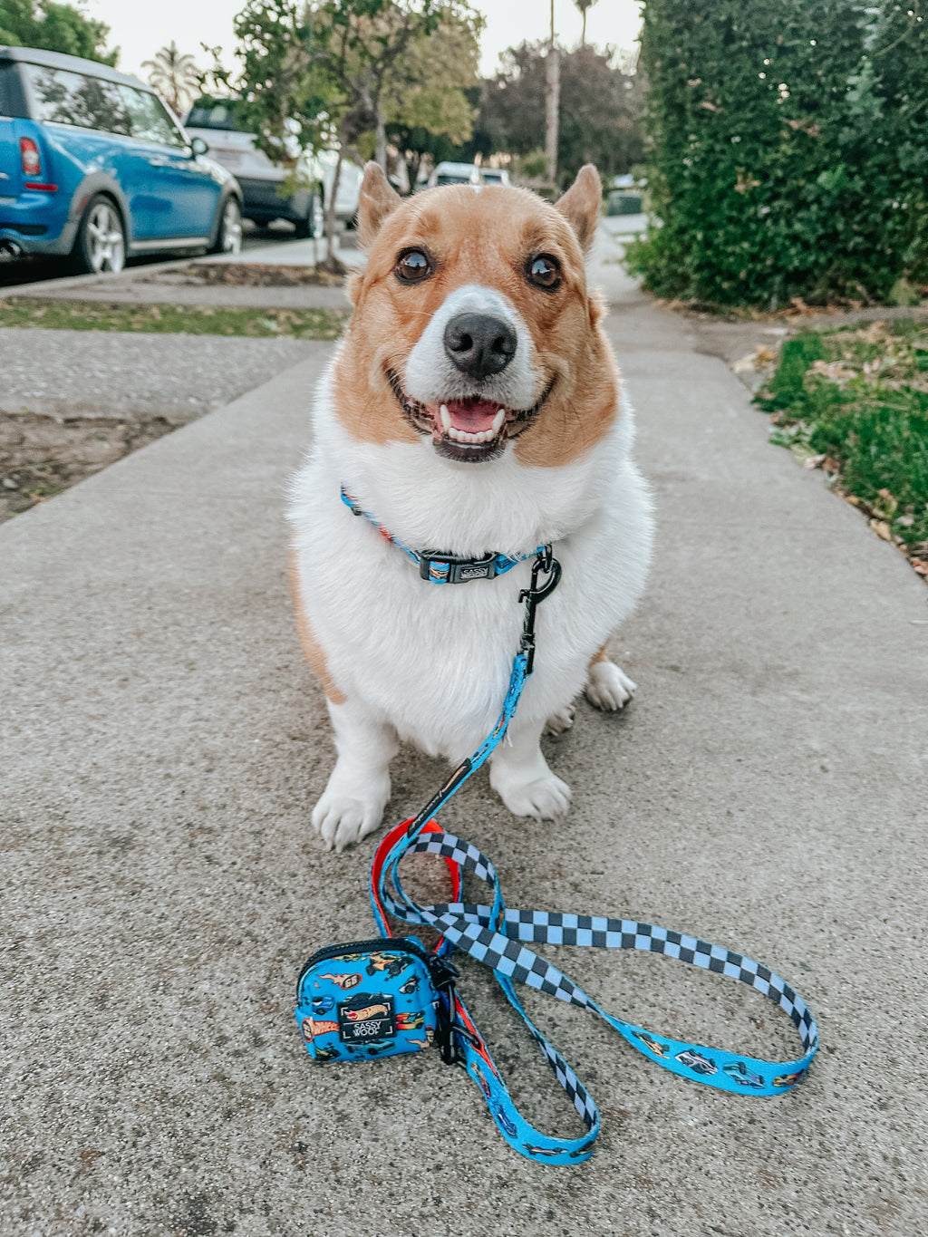 Dog Collar - Hot Wheels™