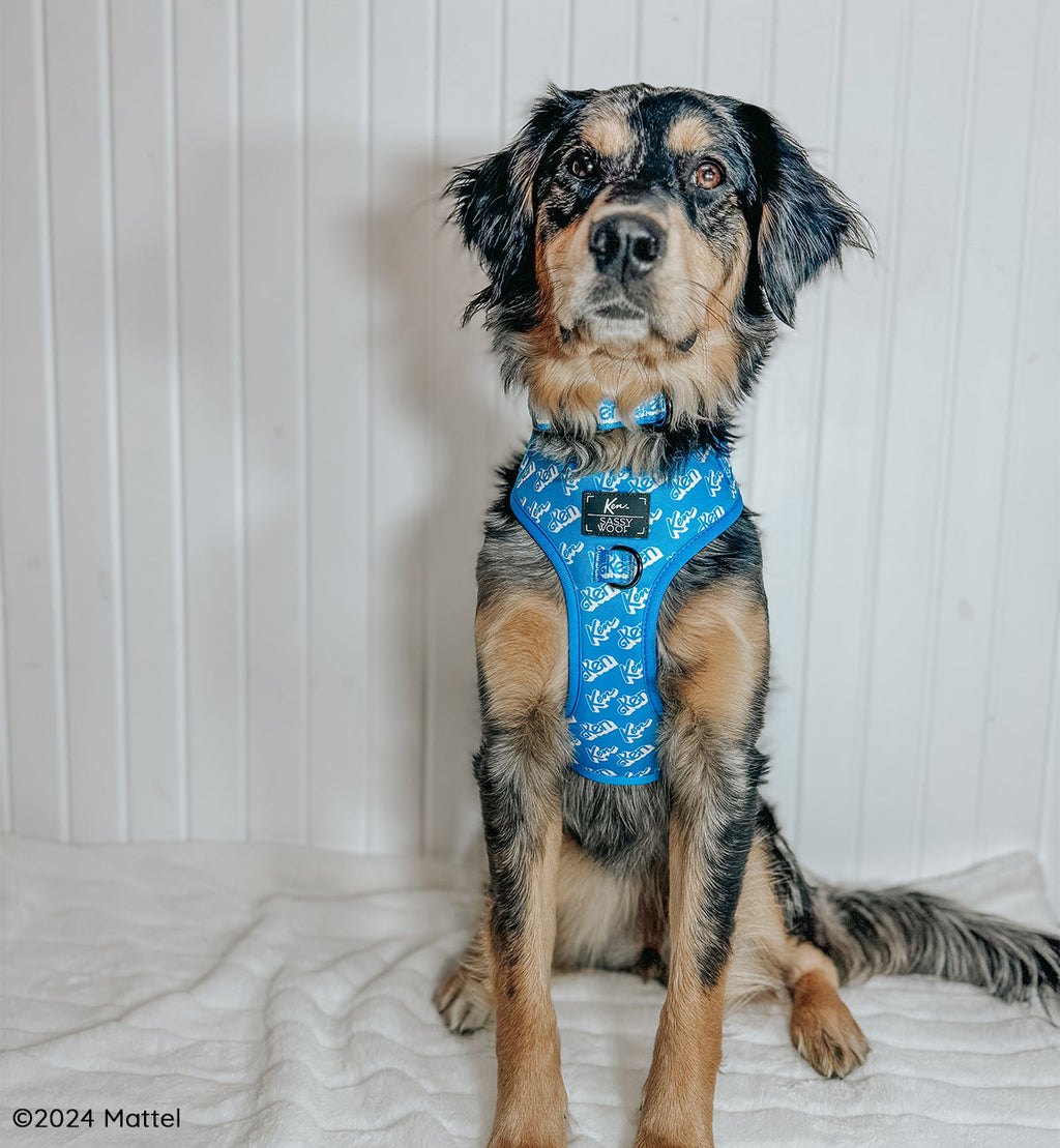 Dog Collar - KEN™