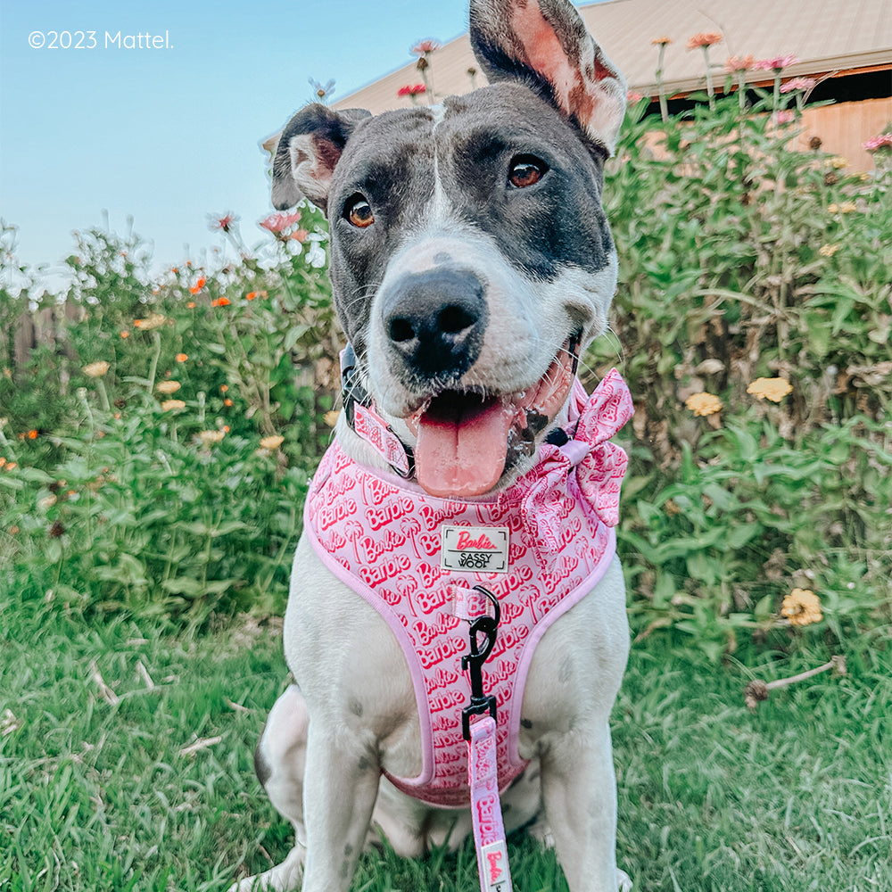 Dog Adjustable Harness - BARBIE™ Malibu