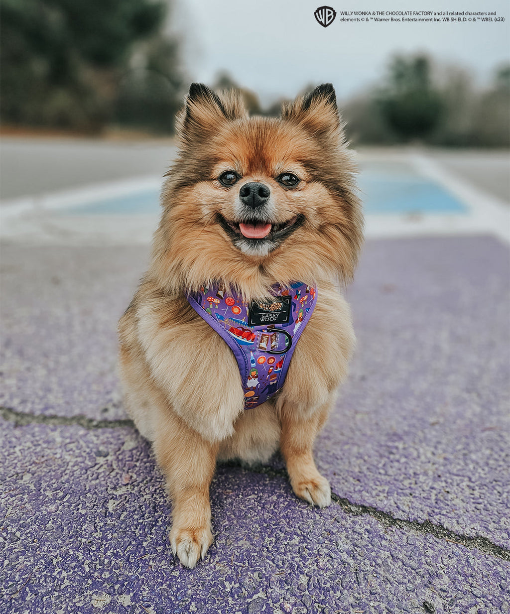 Dog Adjustable Harness - Willy Wonka & The Chocolate Factory™