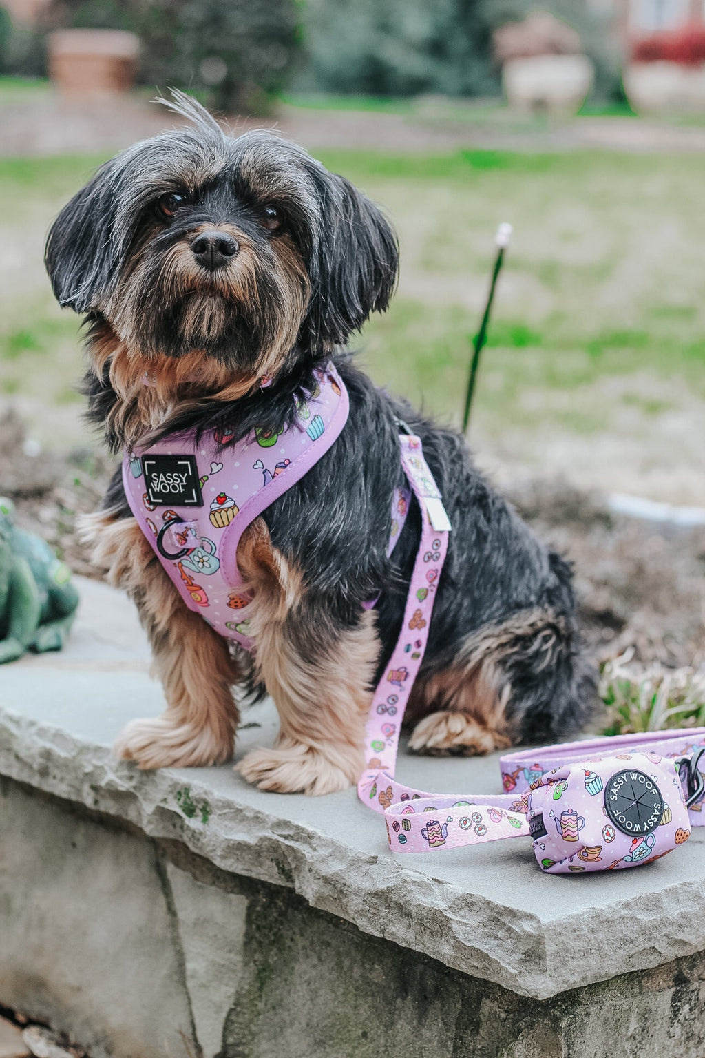 Dog Adjustable Harness - Tea Pawty