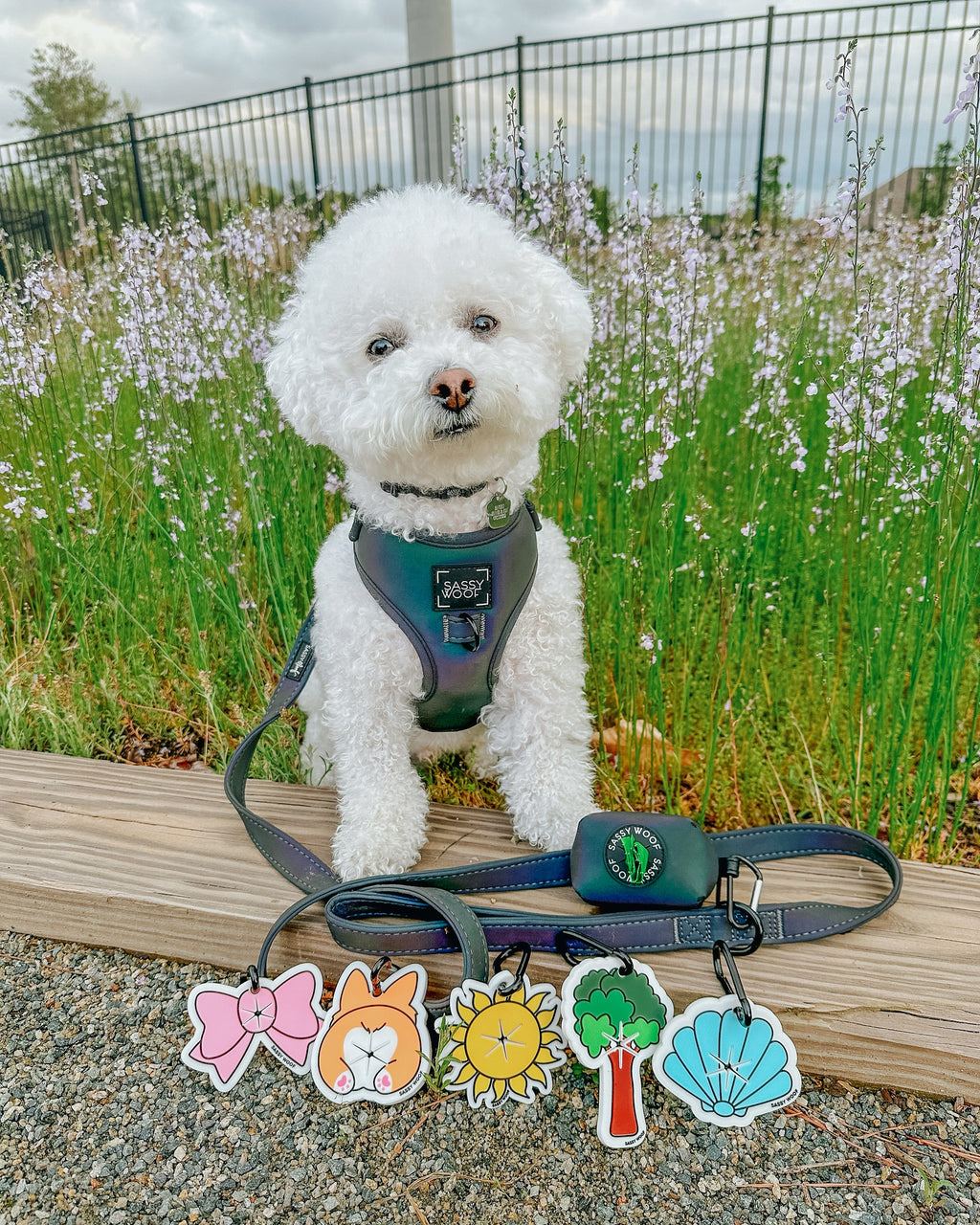 Dog Adjustable Harness - Reflection