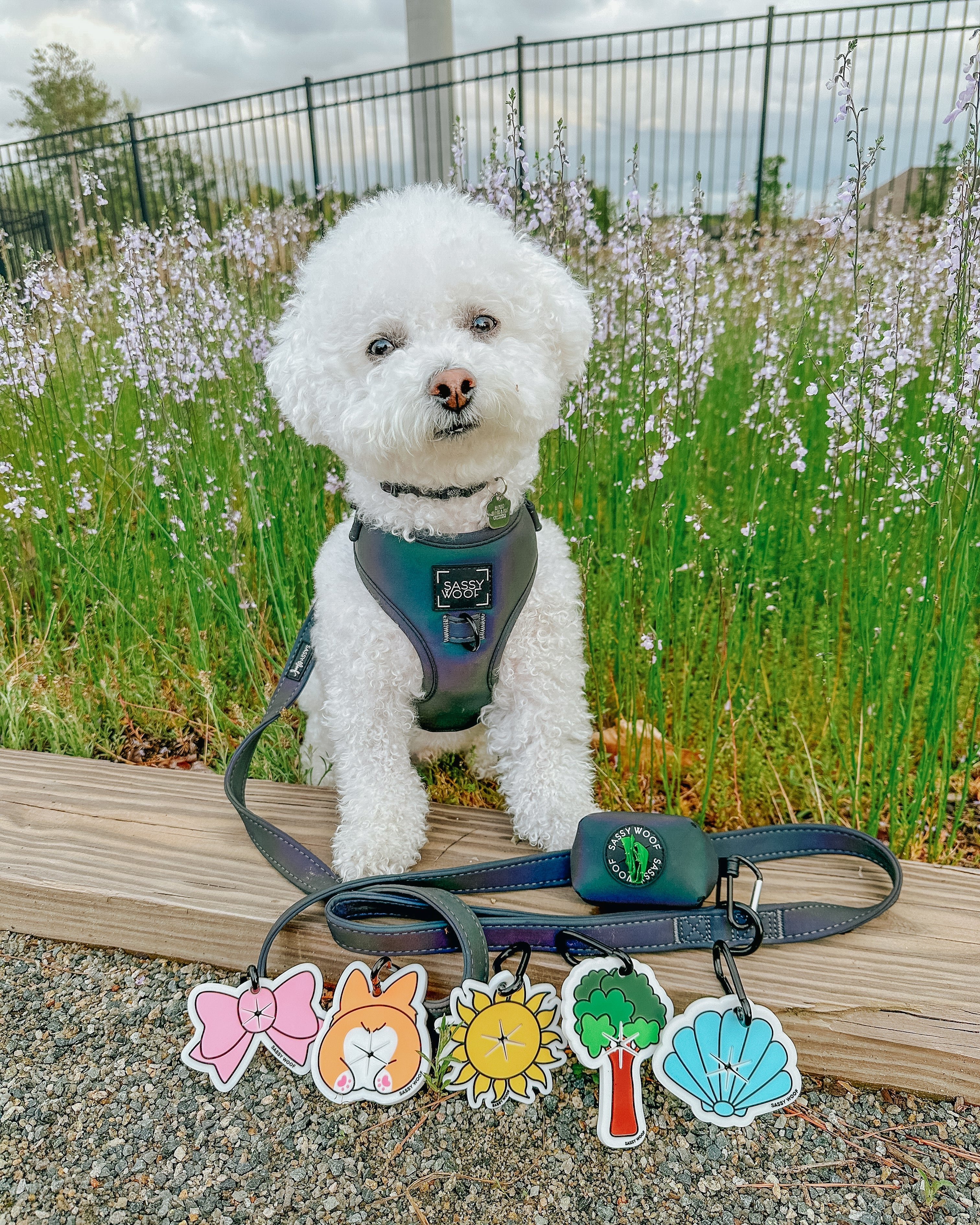 Dog Adjustable Harness - Reflection
