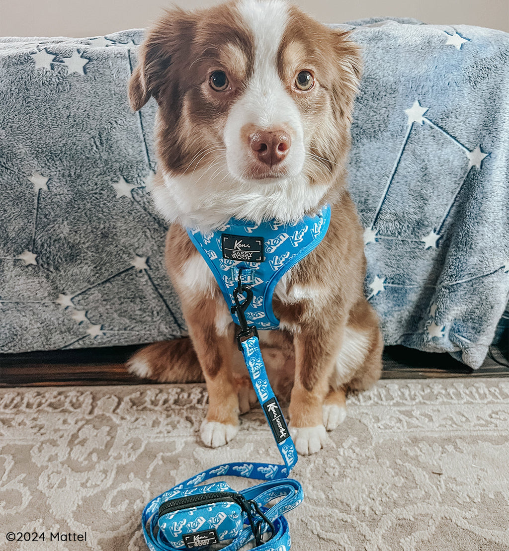 Dog Adjustable Harness - KEN™