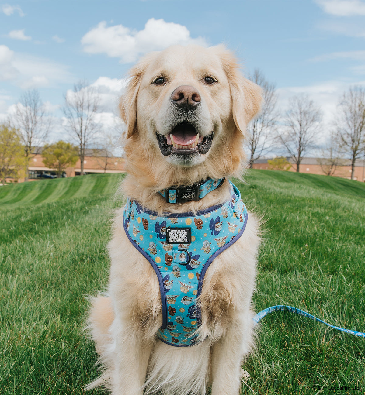 Dog Adjustable Harness - STAR WARS™ The Mandalorian™