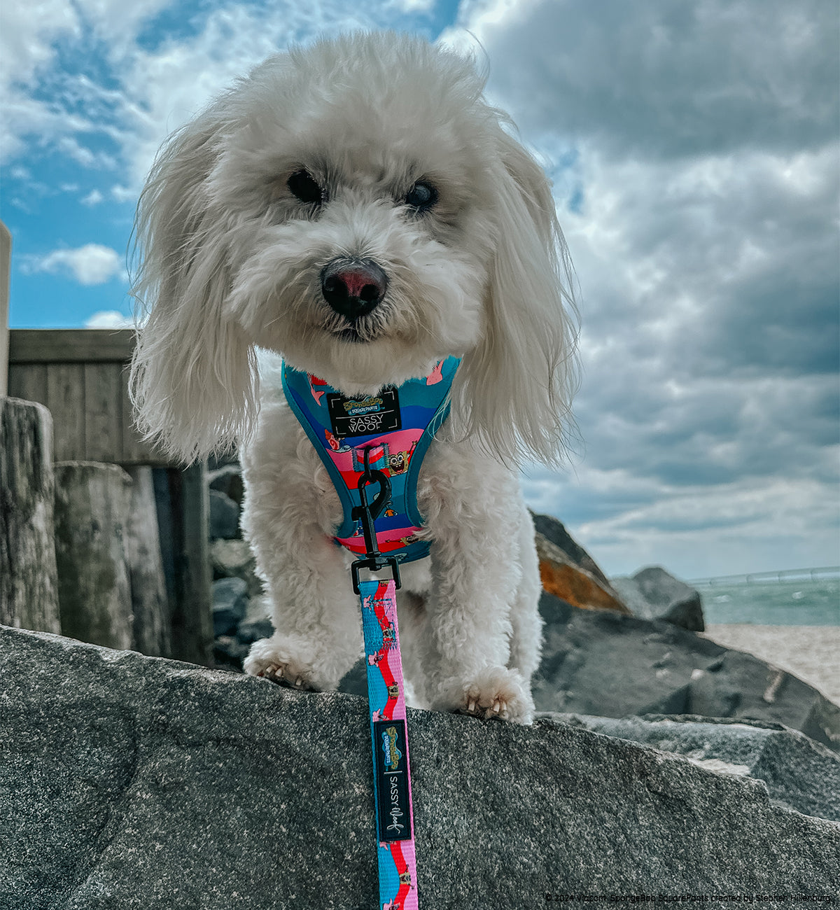 Dog Adjustable Harness - SpongeBob SquarePants™ and Friends