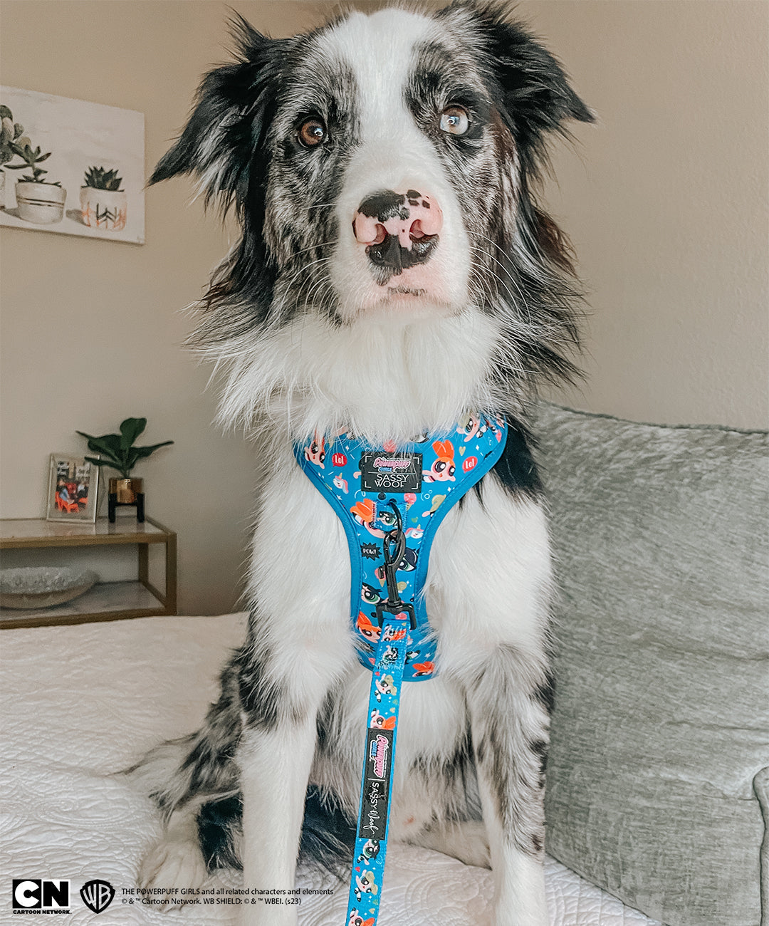 Dog Adjustable Harness - The Powerpuff Girls™ (Blue)