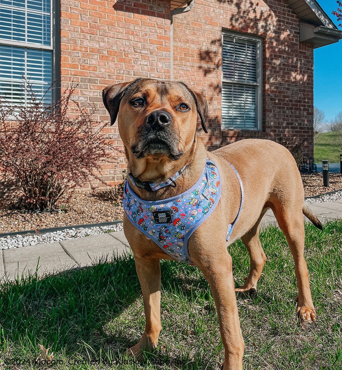 Dog Adjustable Harness - Nickelodeon Rugrats™