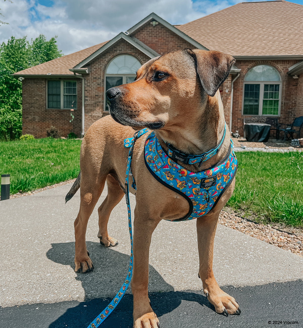 Dog Collar - Nickelodeon CatDog™