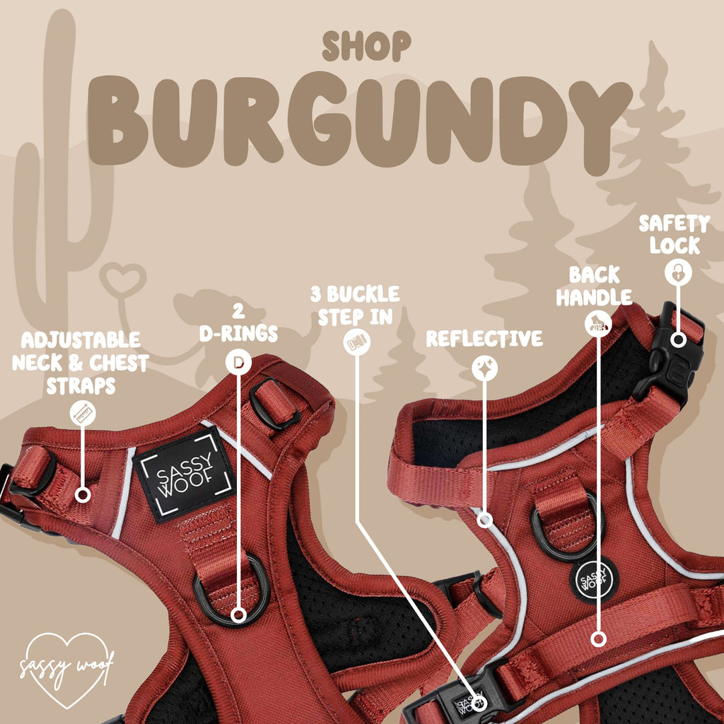 Dog Step-in Harness - Burgundy