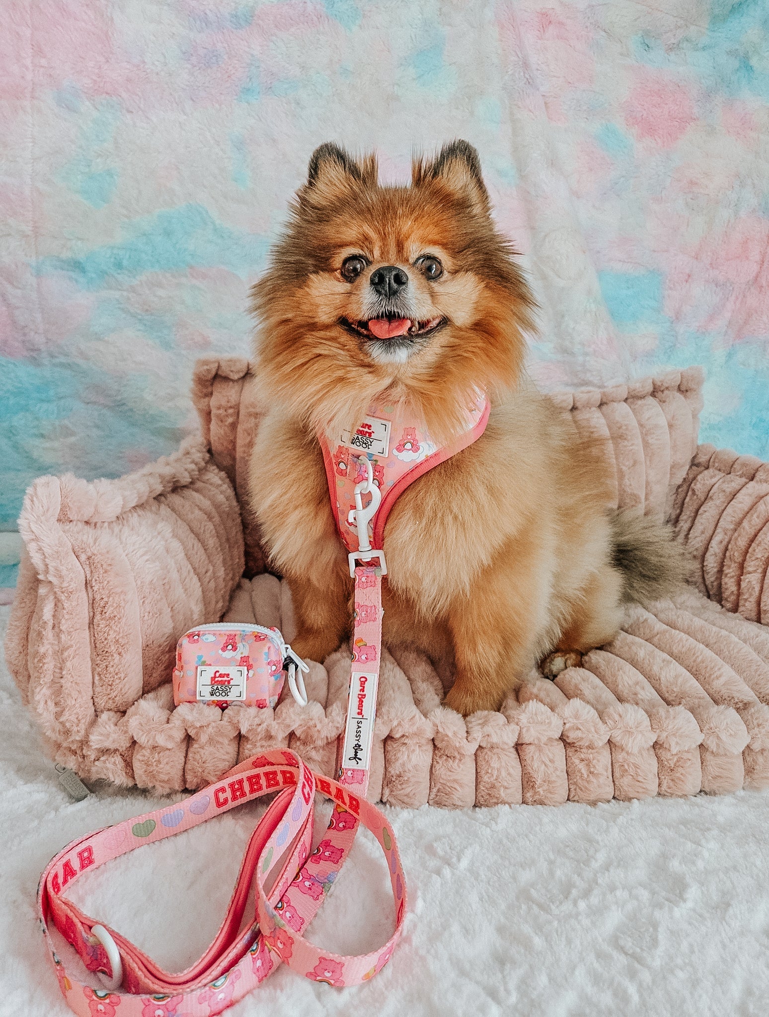 Dog Adjustable Harness - Care Bears™ Cheer Bear