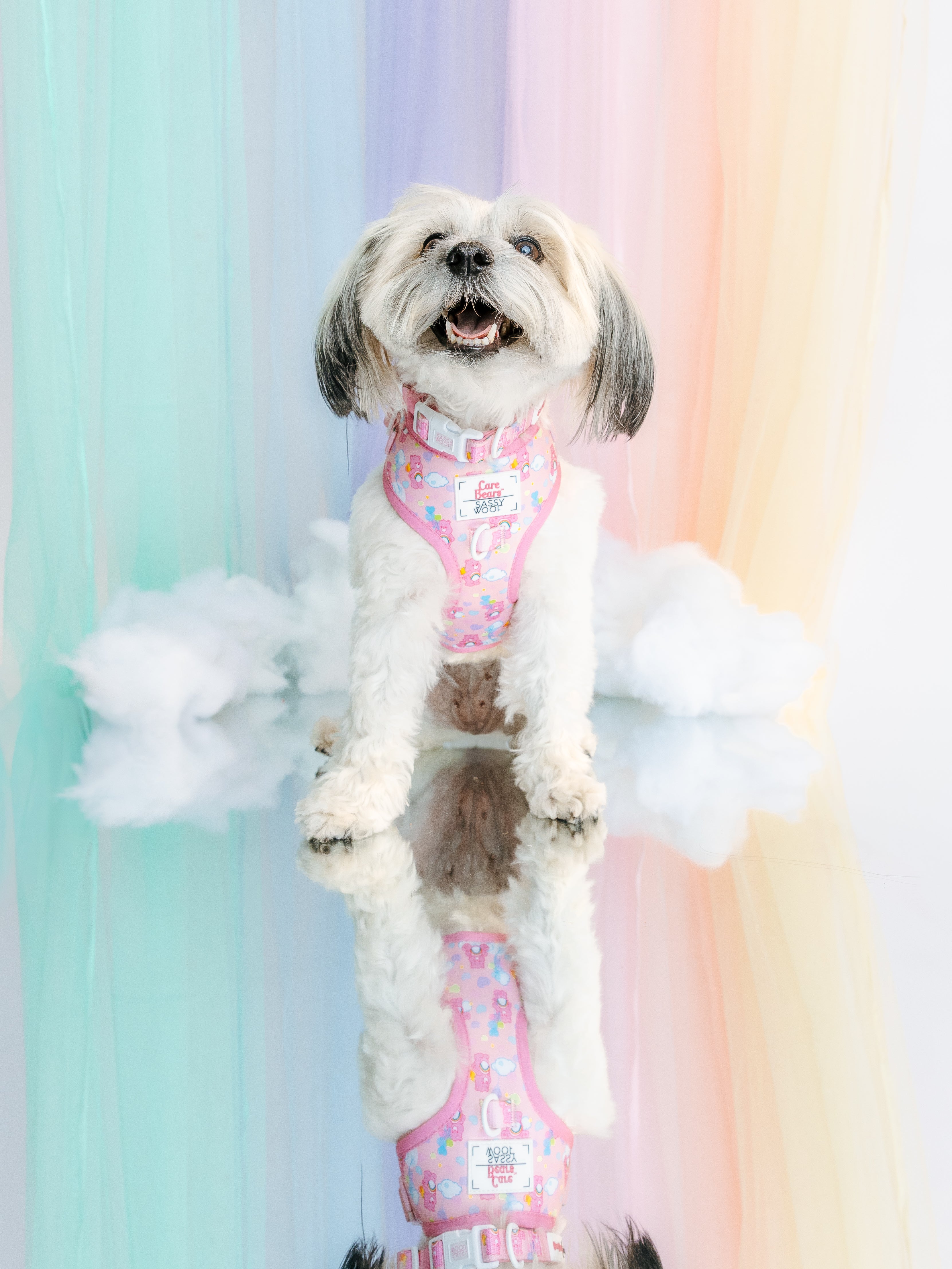 Dog Adjustable Harness - Care Bears™ Cheer Bear
