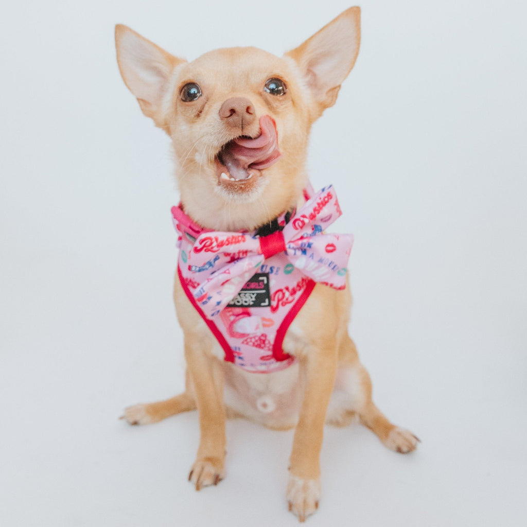 Dog Adjustable Harness - Mean Girls™