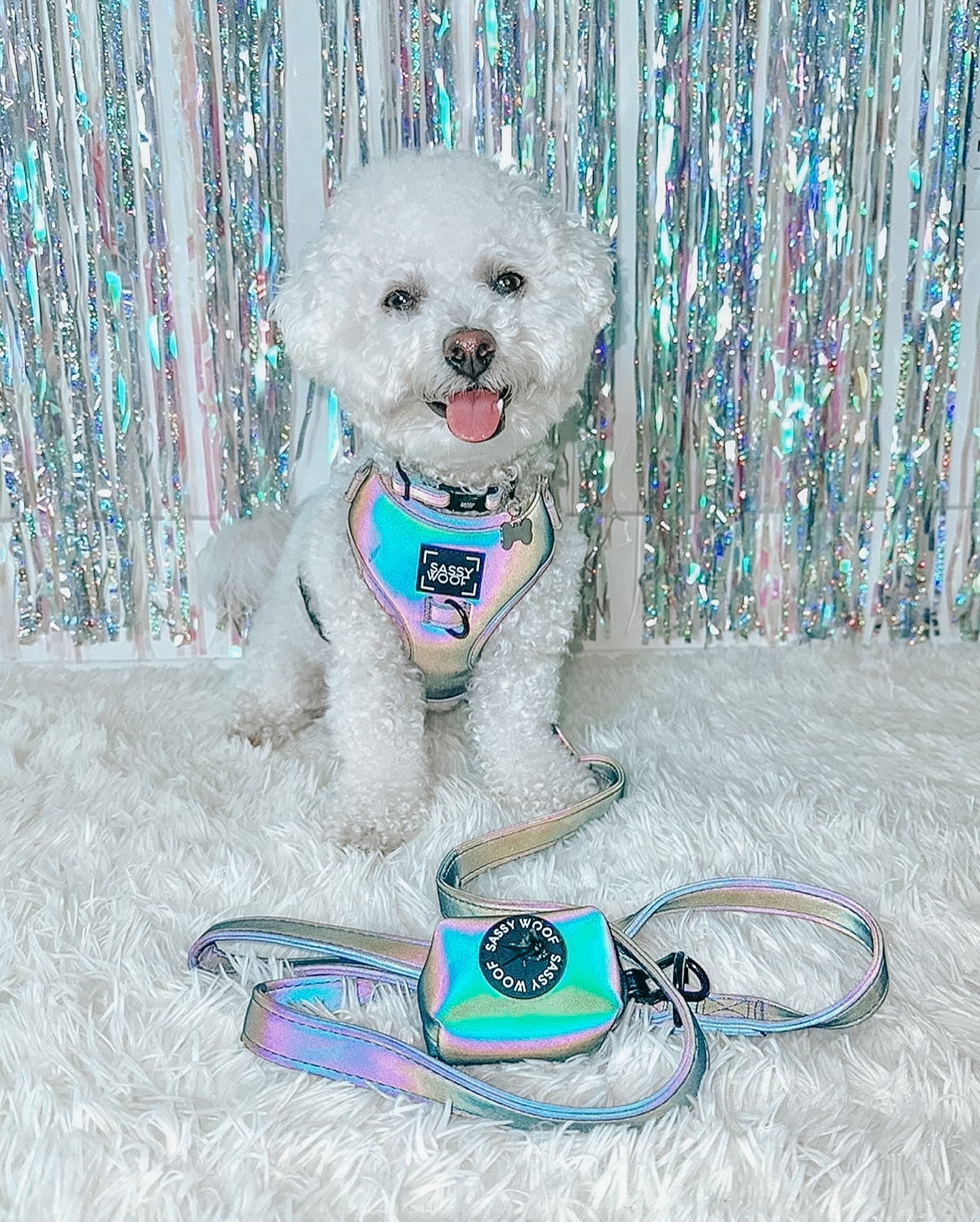 Dog Collar - Reflection