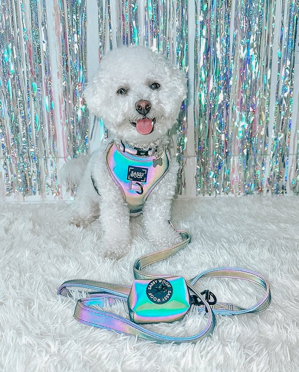 Dog Leash - Reflection