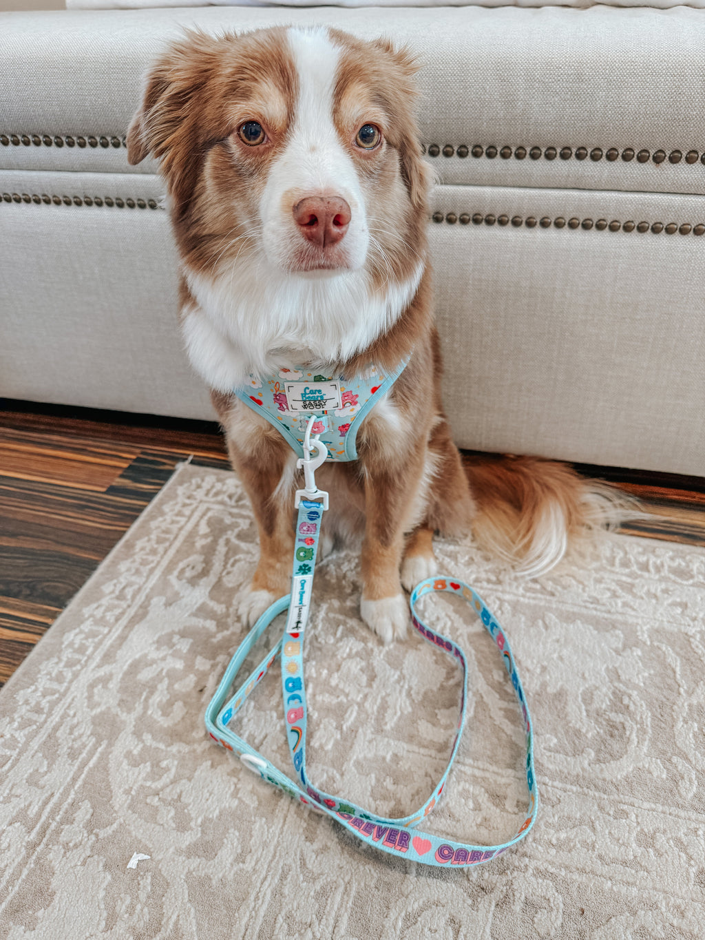 Dog Adjustable Harness - Care Bears™ Care-a-Lot