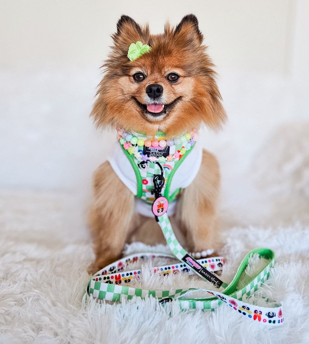 Collar Tag - Blossom™