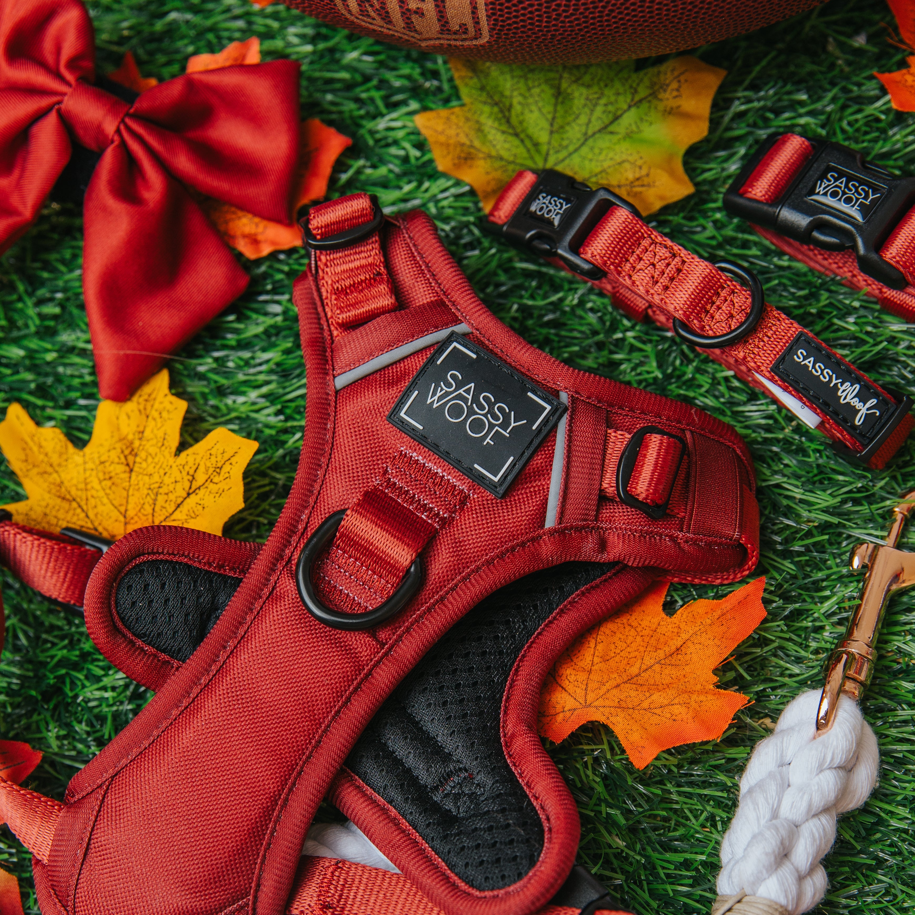 Dog Step-in Harness - Burgundy