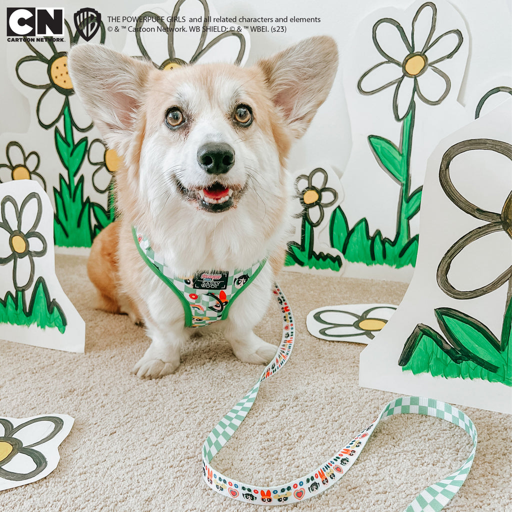 Dog Leash - The Powerpuff Girls™ (Green)