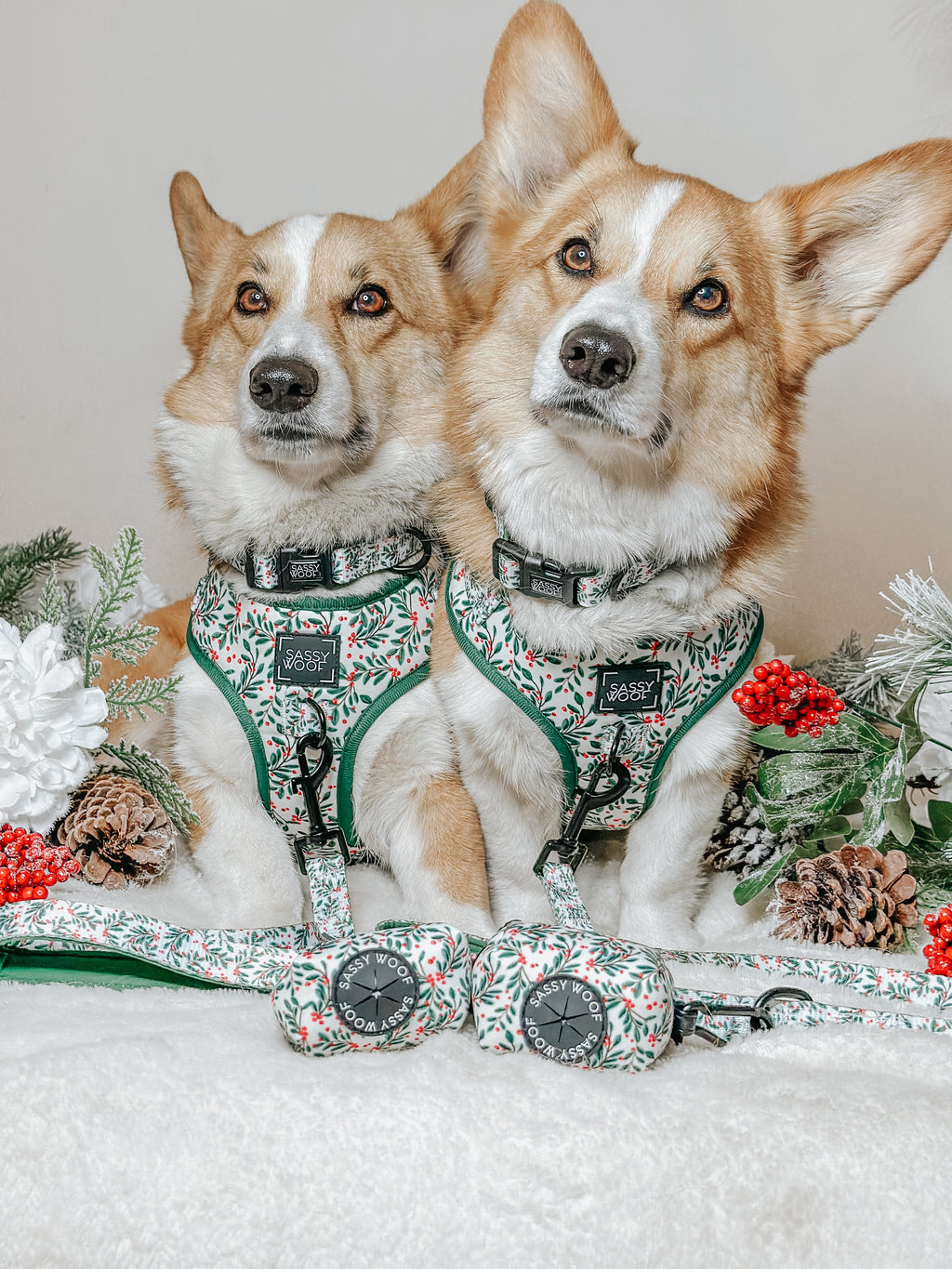 Dog Collar - Under the Mistletoe