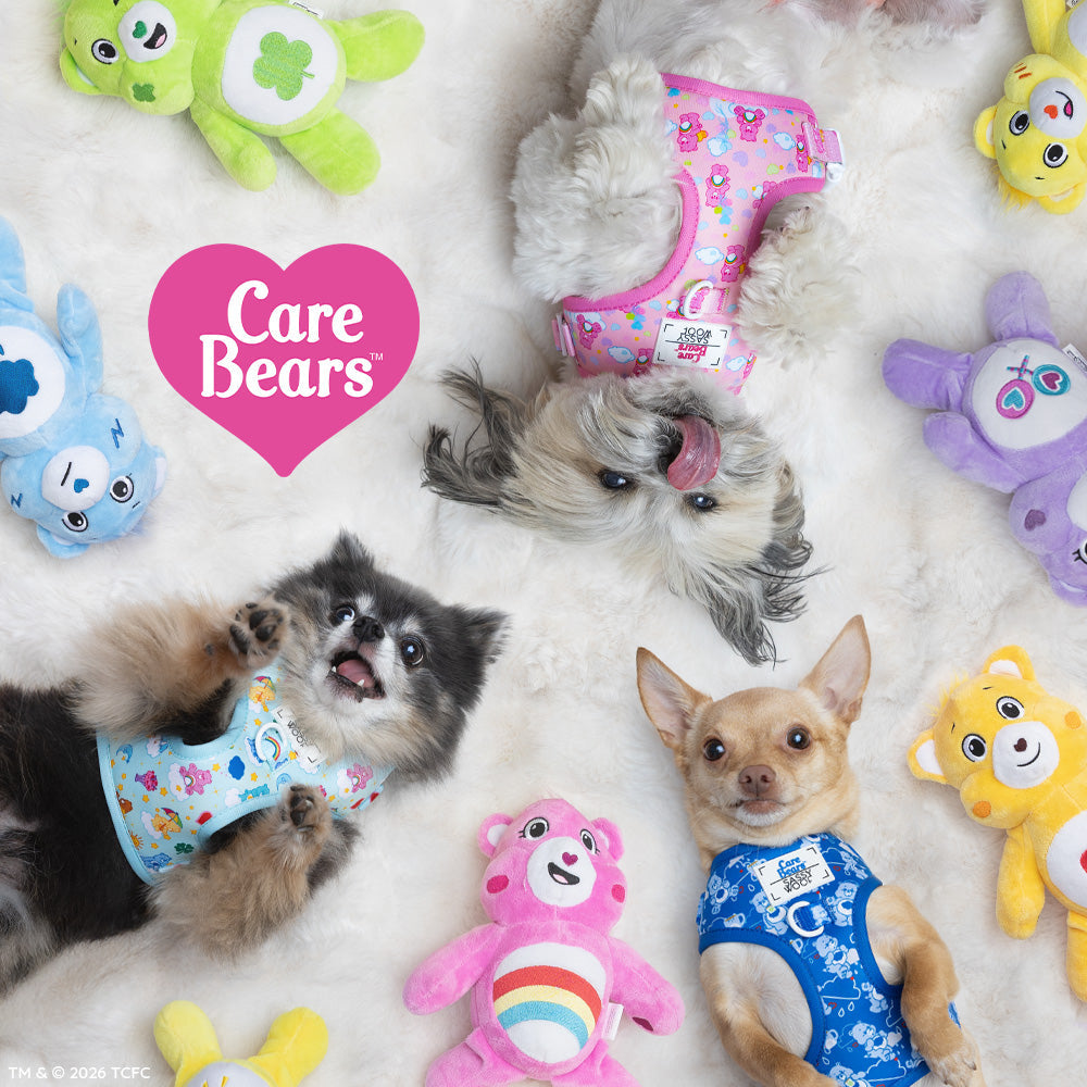 Dog Adjustable Harness - Care Bears™ Cheer Bear