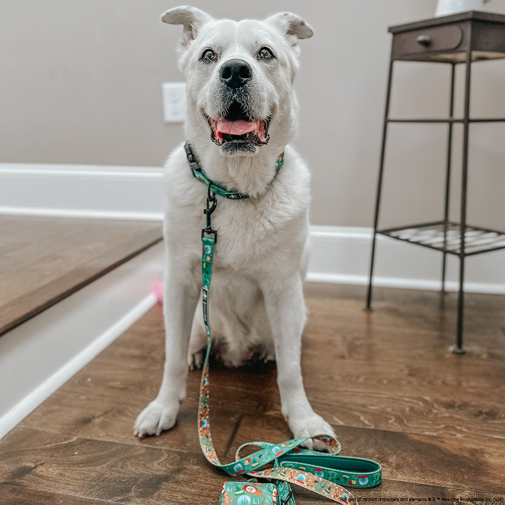 Dog Leash - Elf™