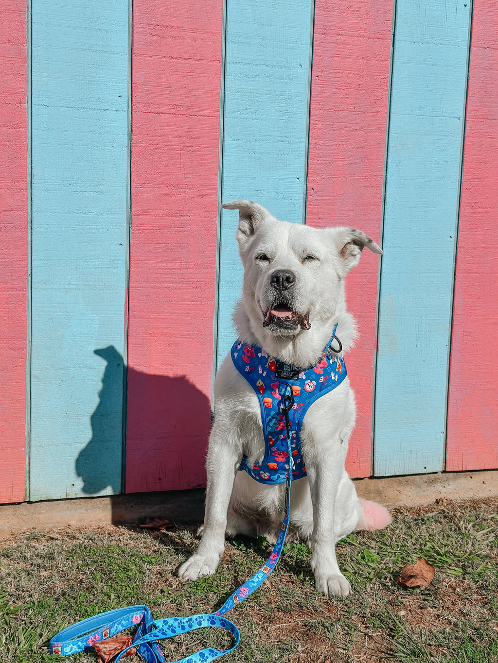 Dog Adjustable Harness - Blue's Clues™