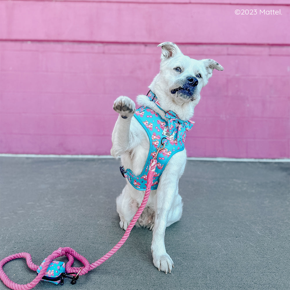 Dog Collar - BARBIE™ On a Roll