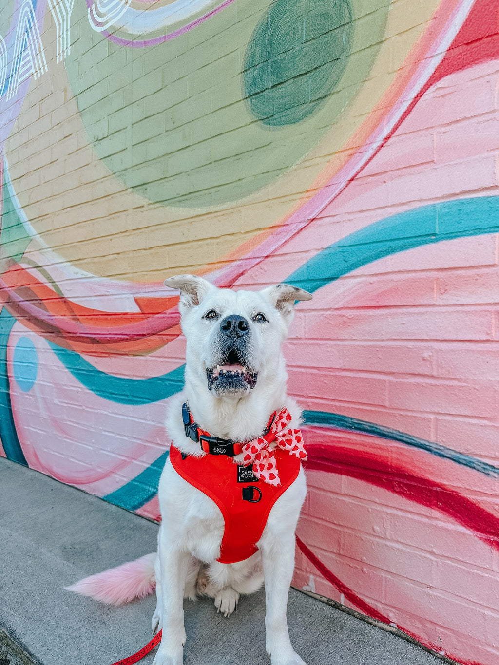 Dog Adjustable Harness - Neon Red