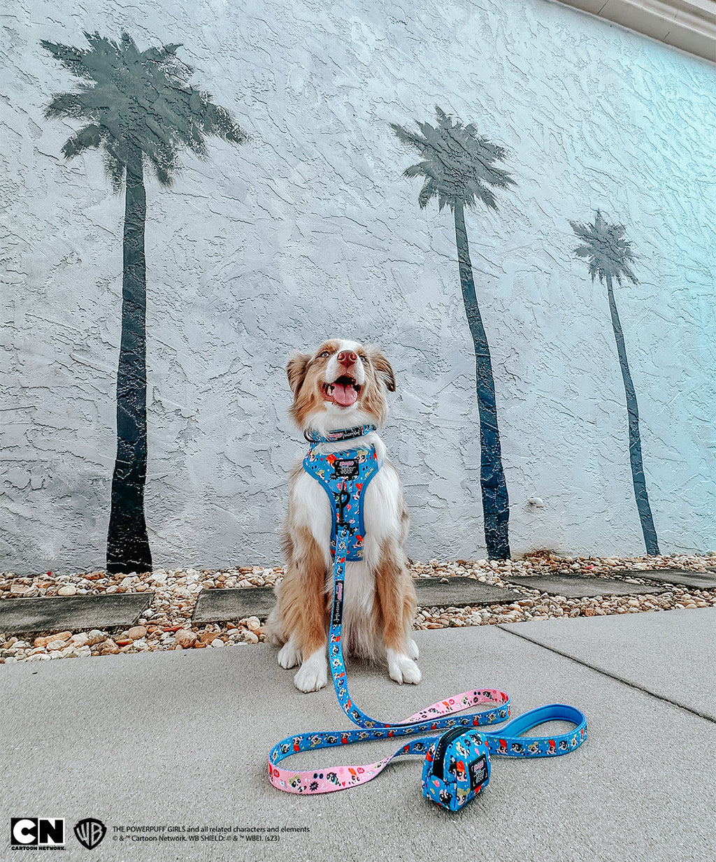 Dog Leash - The Powerpuff Girls™ (Blue)