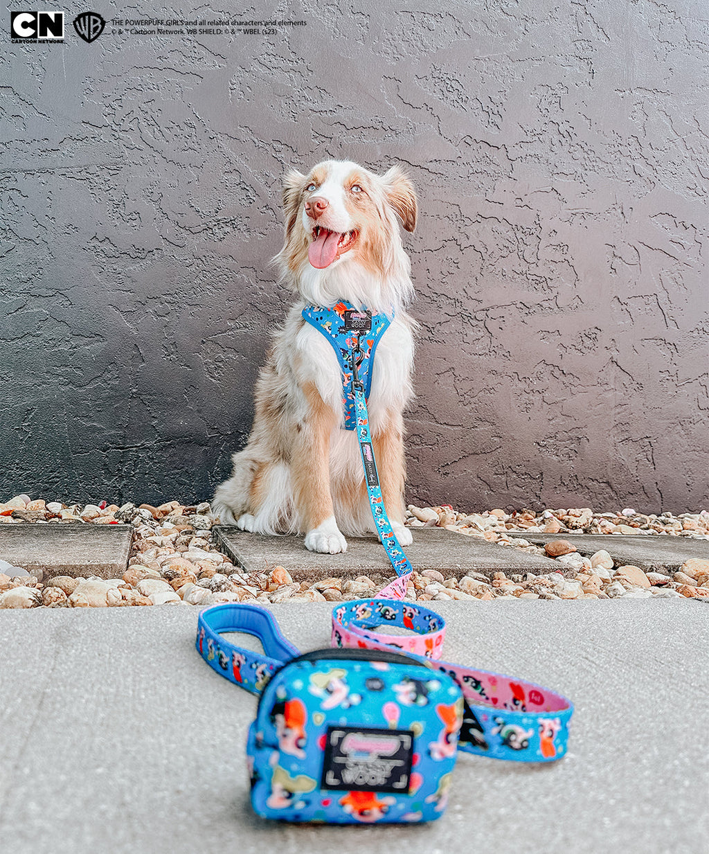 Dog Leash - The Powerpuff Girls™ (Blue)