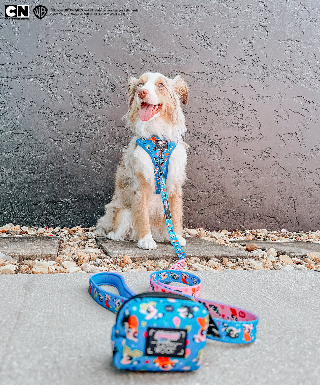 Dog Leash - The Powerpuff Girls™ (Blue)