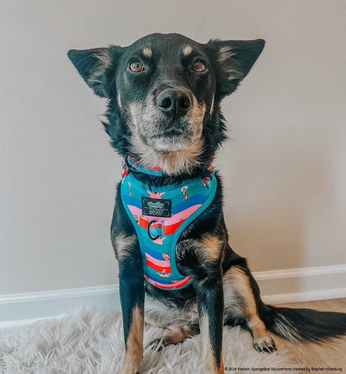 Dog Adjustable Harness - SpongeBob SquarePants™ and Friends