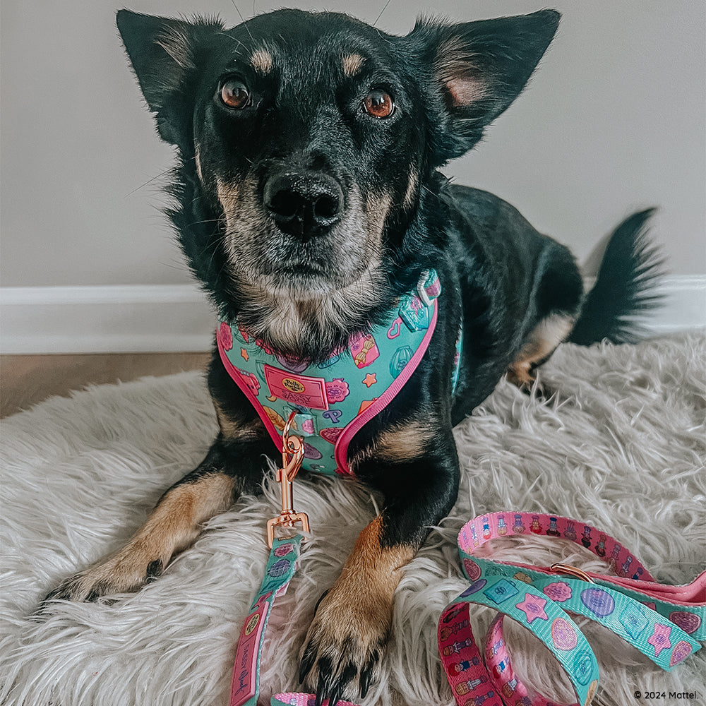 Dog Leash - Polly Pocket™