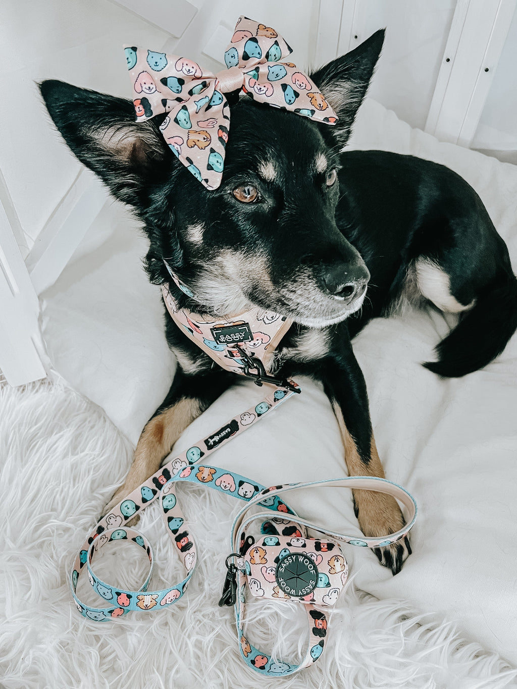 Dog Leash - Mixed With Love
