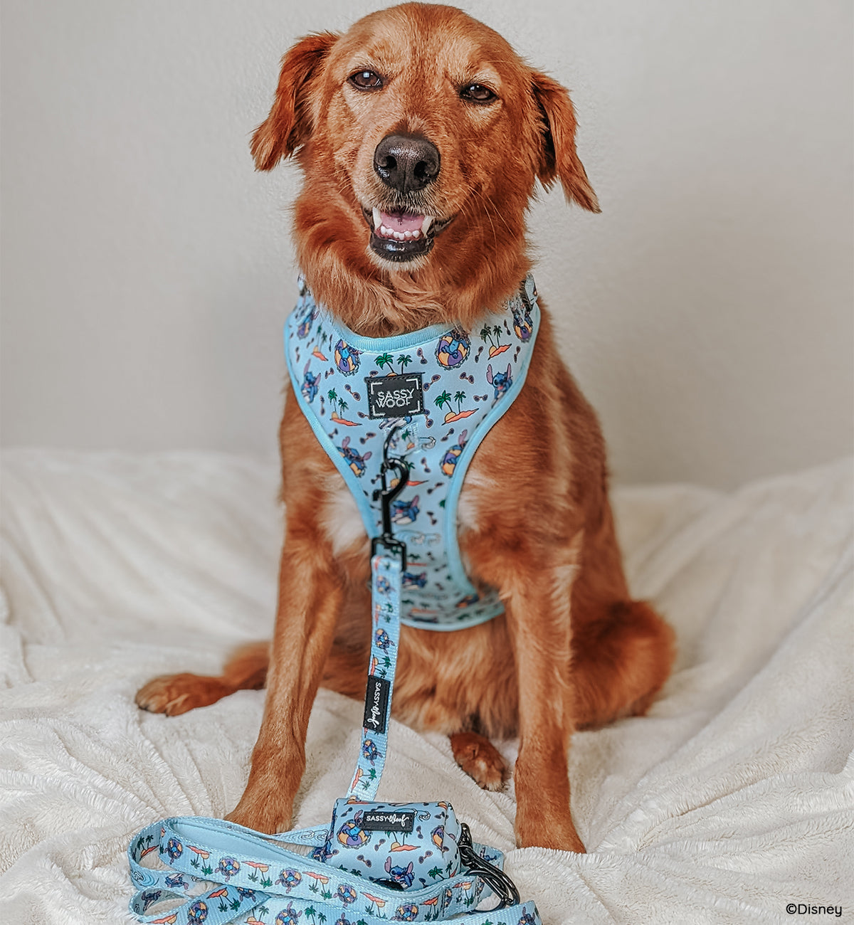 Dog Collar - Disney's Stitch