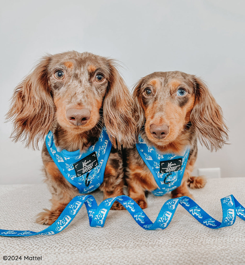 Dog Adjustable Harness - KEN™