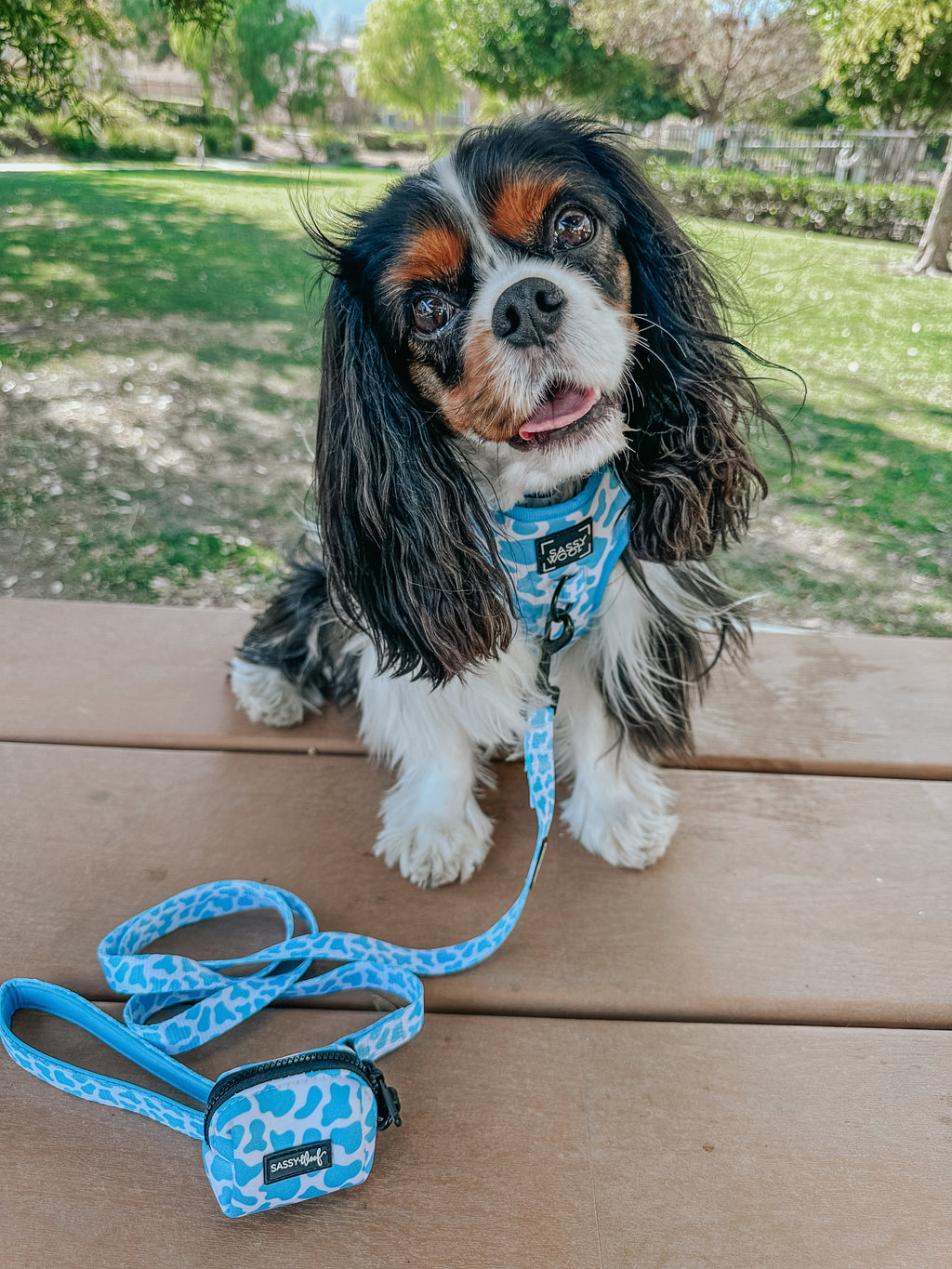 Dog Adjustable Harness - Blueberry Milk