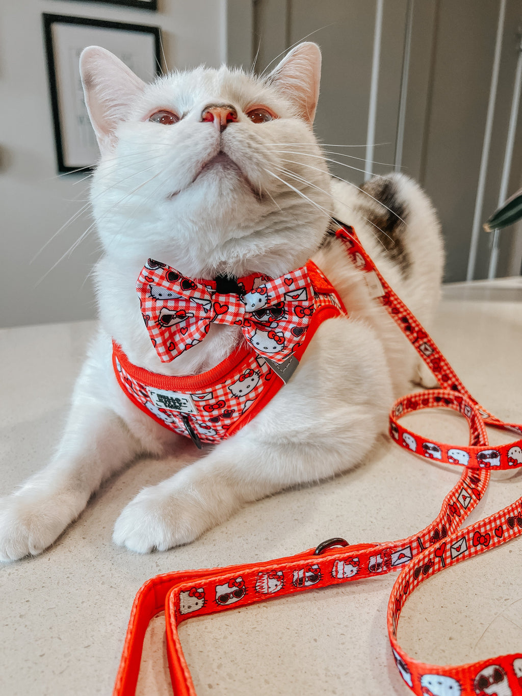 Cat Leash - Hello Kitty® Red Classic