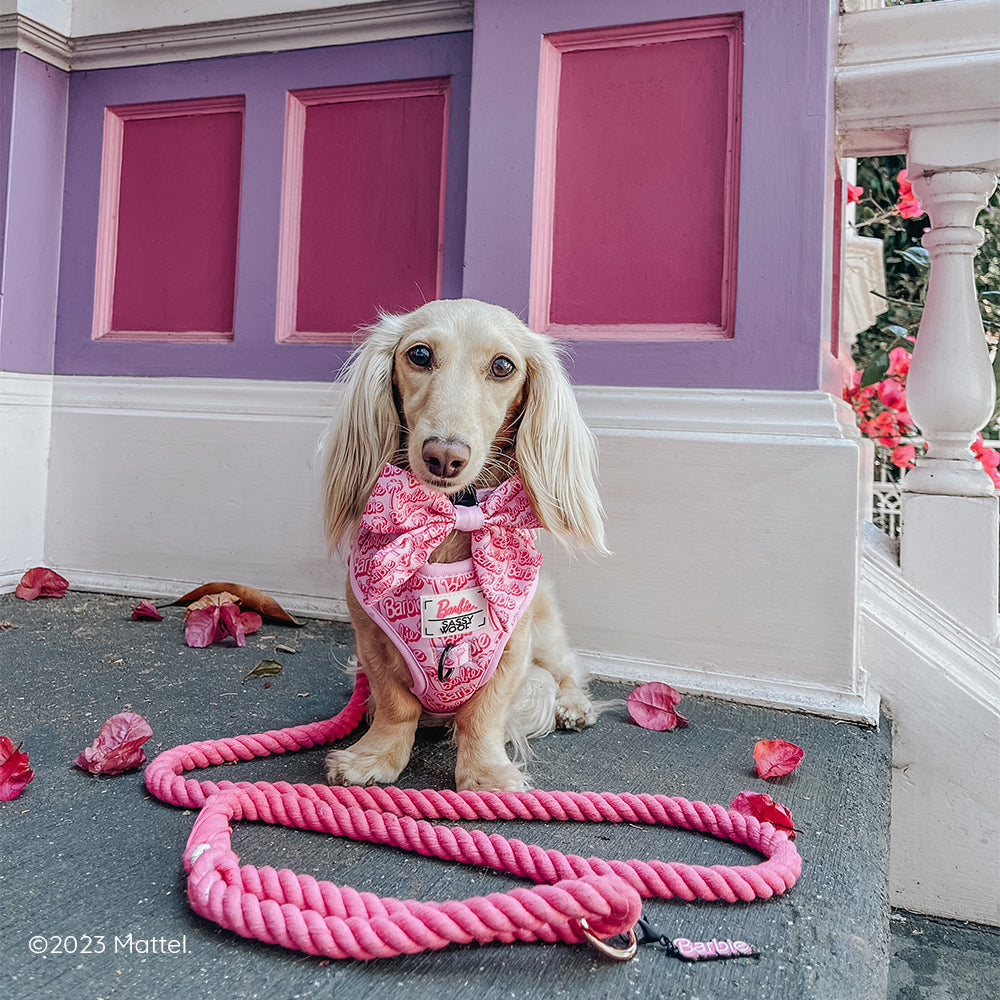 Dog Adjustable Harness - BARBIE™ Malibu