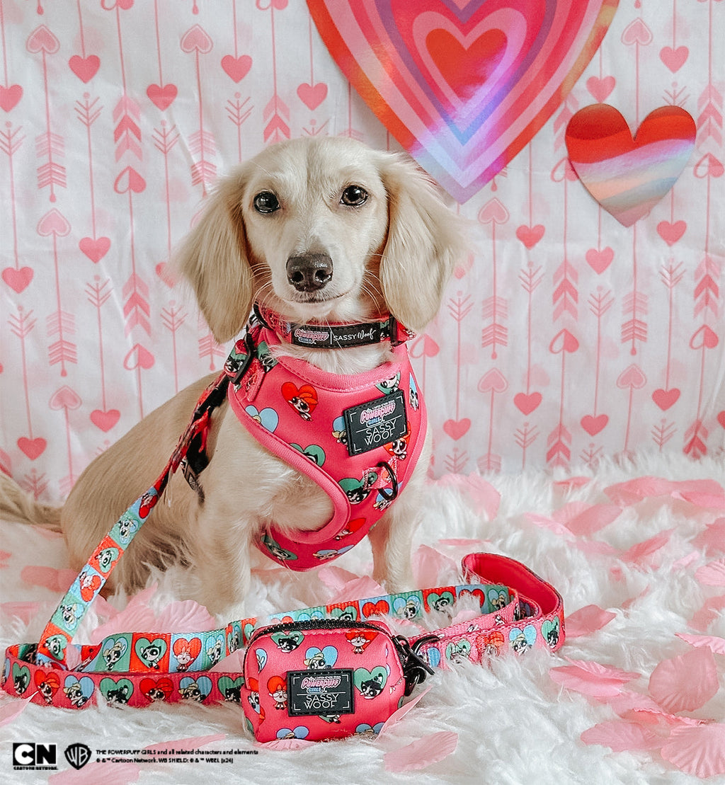 Dog Adjustable Harness - The Powerpuff Girls™ (Love)