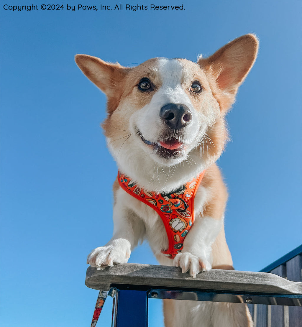Dog Adjustable Harness - Garfield™