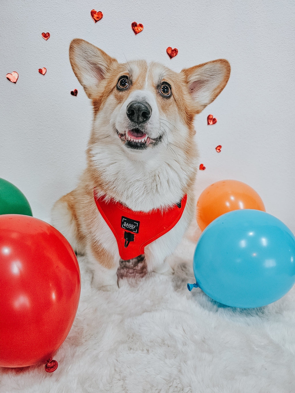 Dog Adjustable Harness - Neon Red