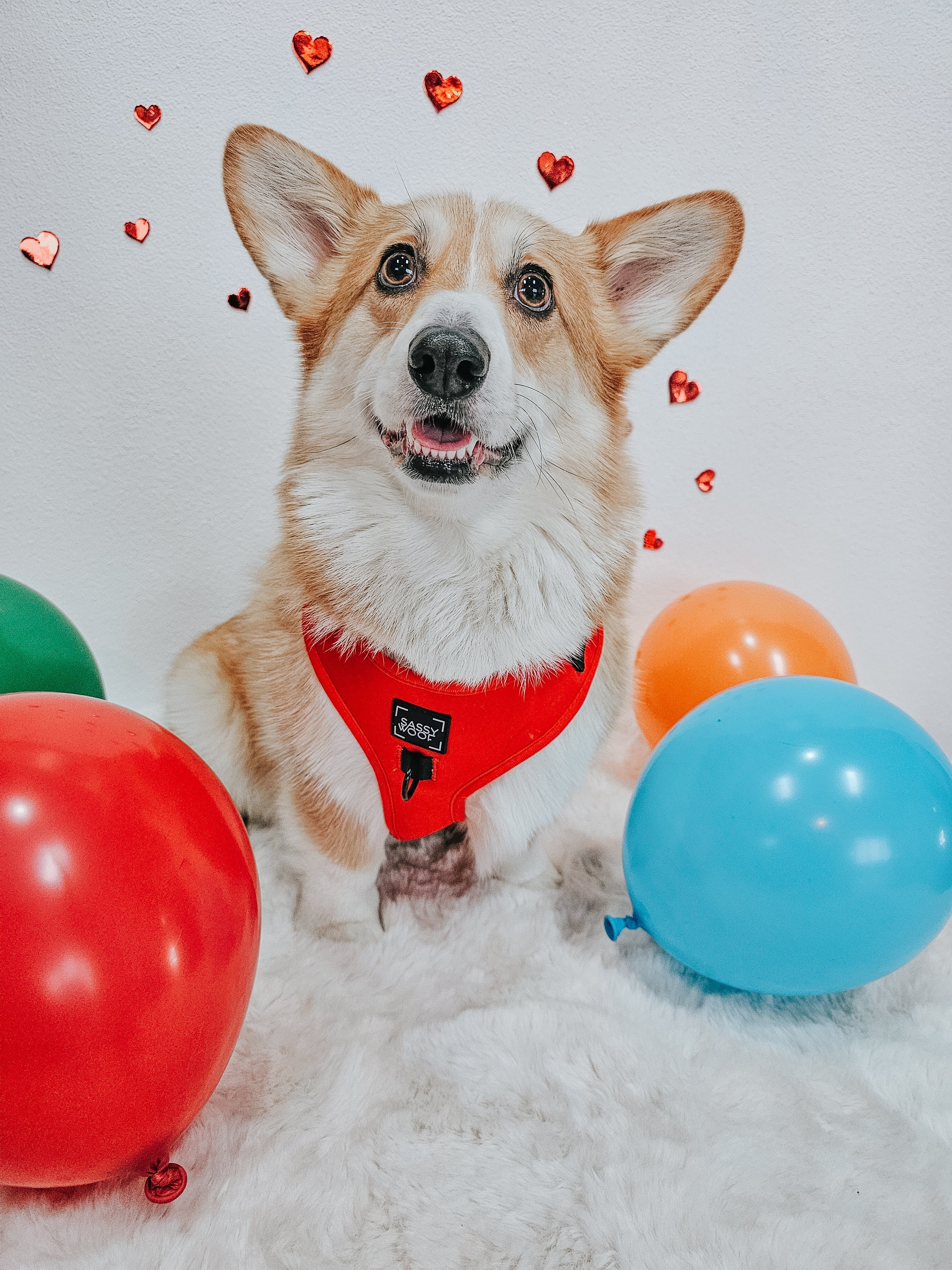 Dog Adjustable Harness - Neon Red