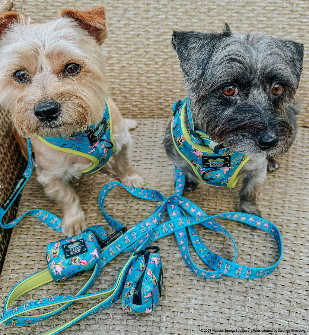 Dog Adjustable Harness - SpongeBob SquarePants™ Jelly Fishin'