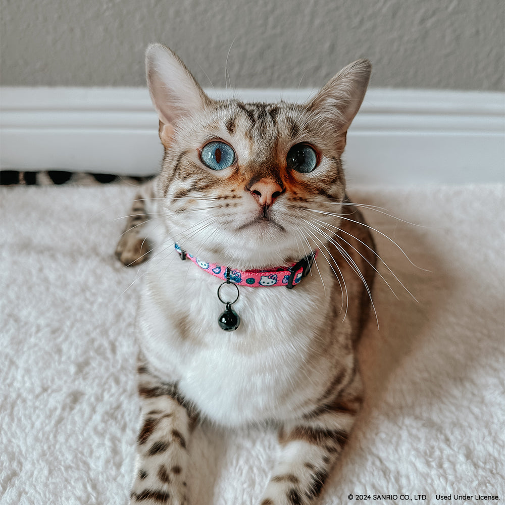 Cat Collar - Hello Kitty® Pink