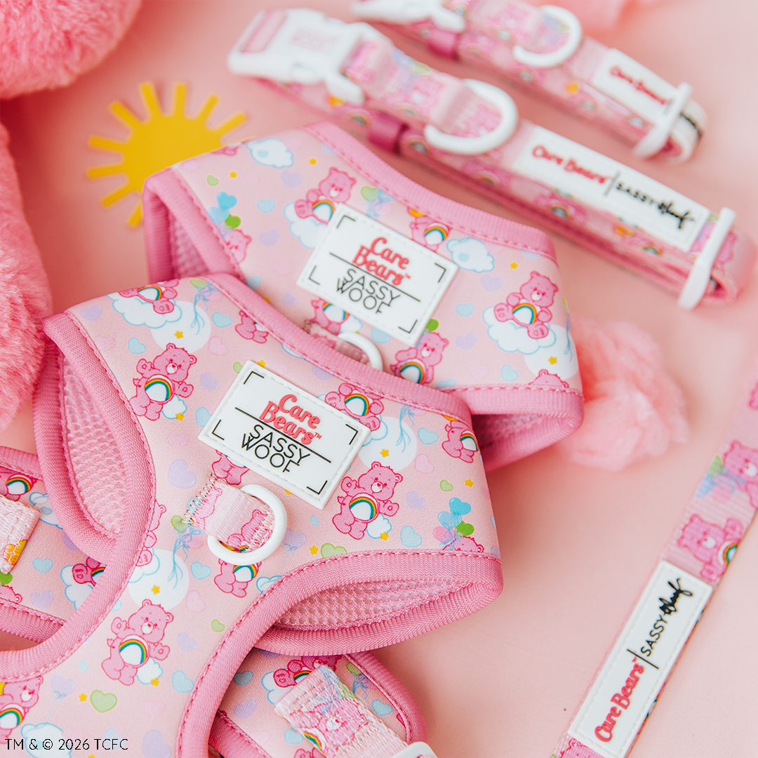 Dog Adjustable Harness - Care Bears™ Cheer Bear