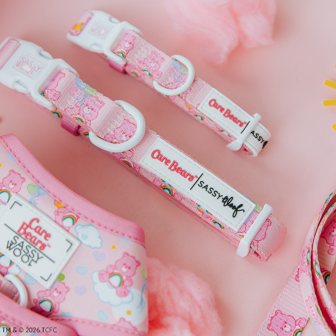 Dog Collar - Care Bears™ Cheer Bear