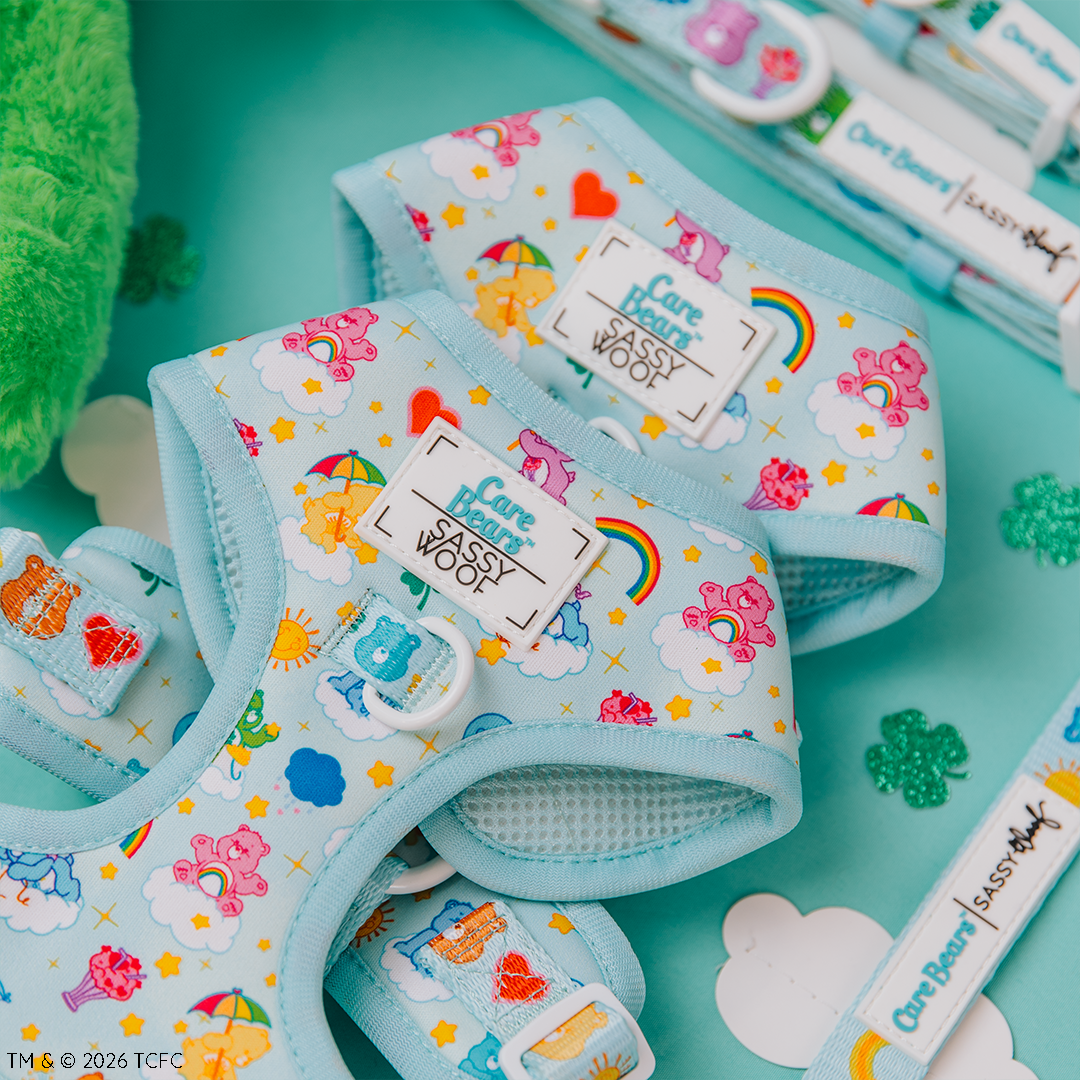Dog Adjustable Harness - Care Bears™ Care-a-Lot